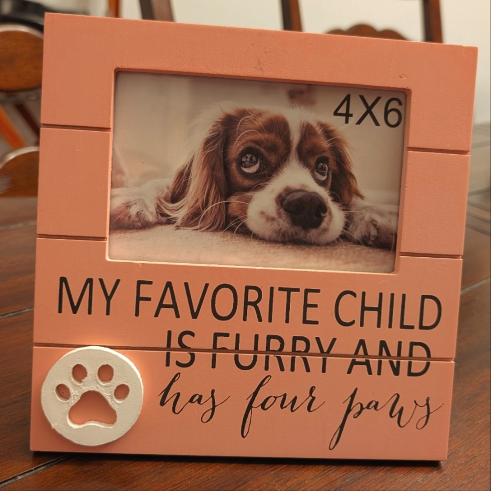 Young's Inc Pink Pet Picture Frame with Paw Print